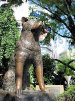 hachiko.jpg