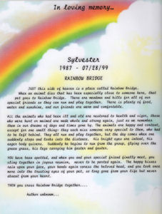 Rainbow Bridge Poem