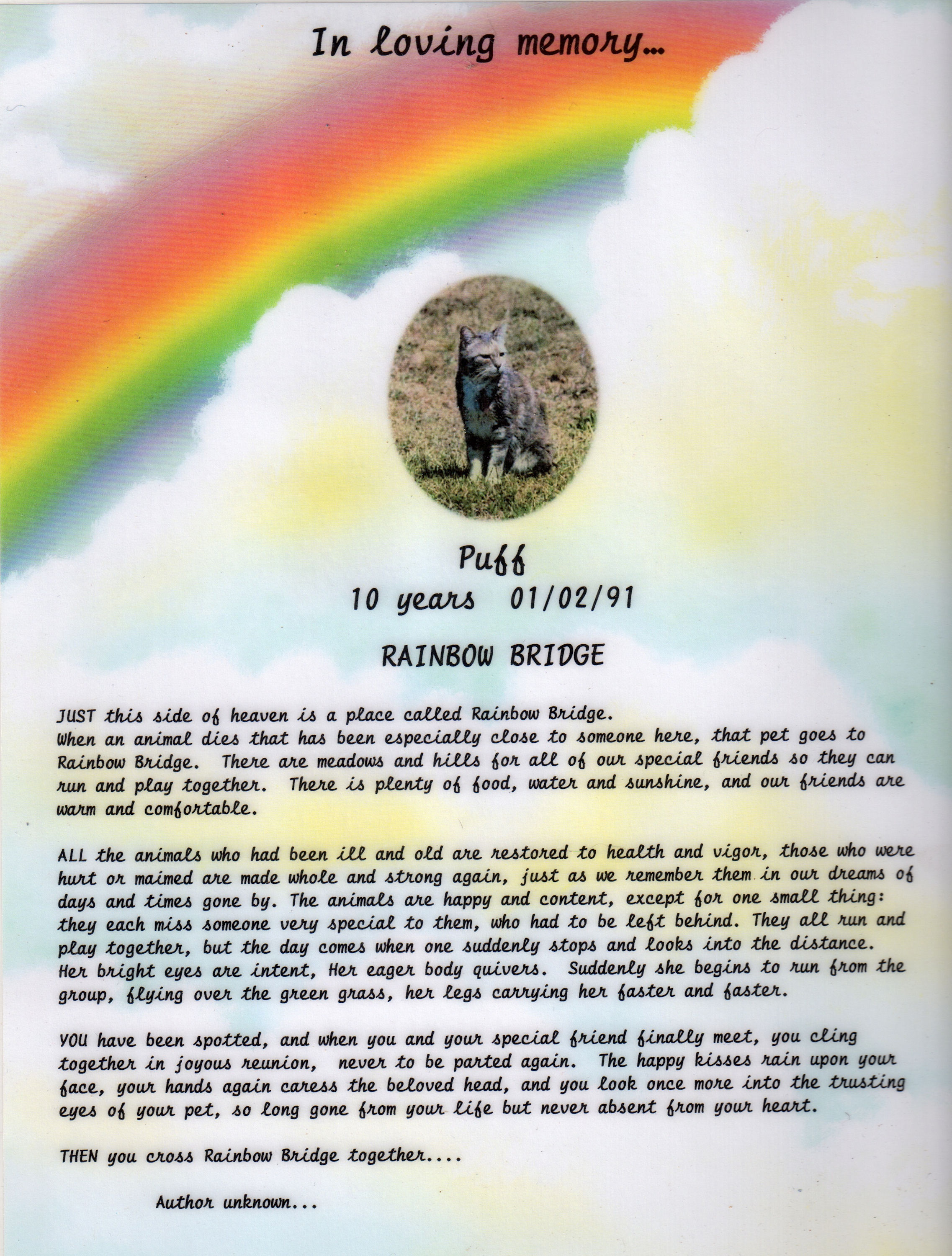 rainbow bridge poem for dogs printable