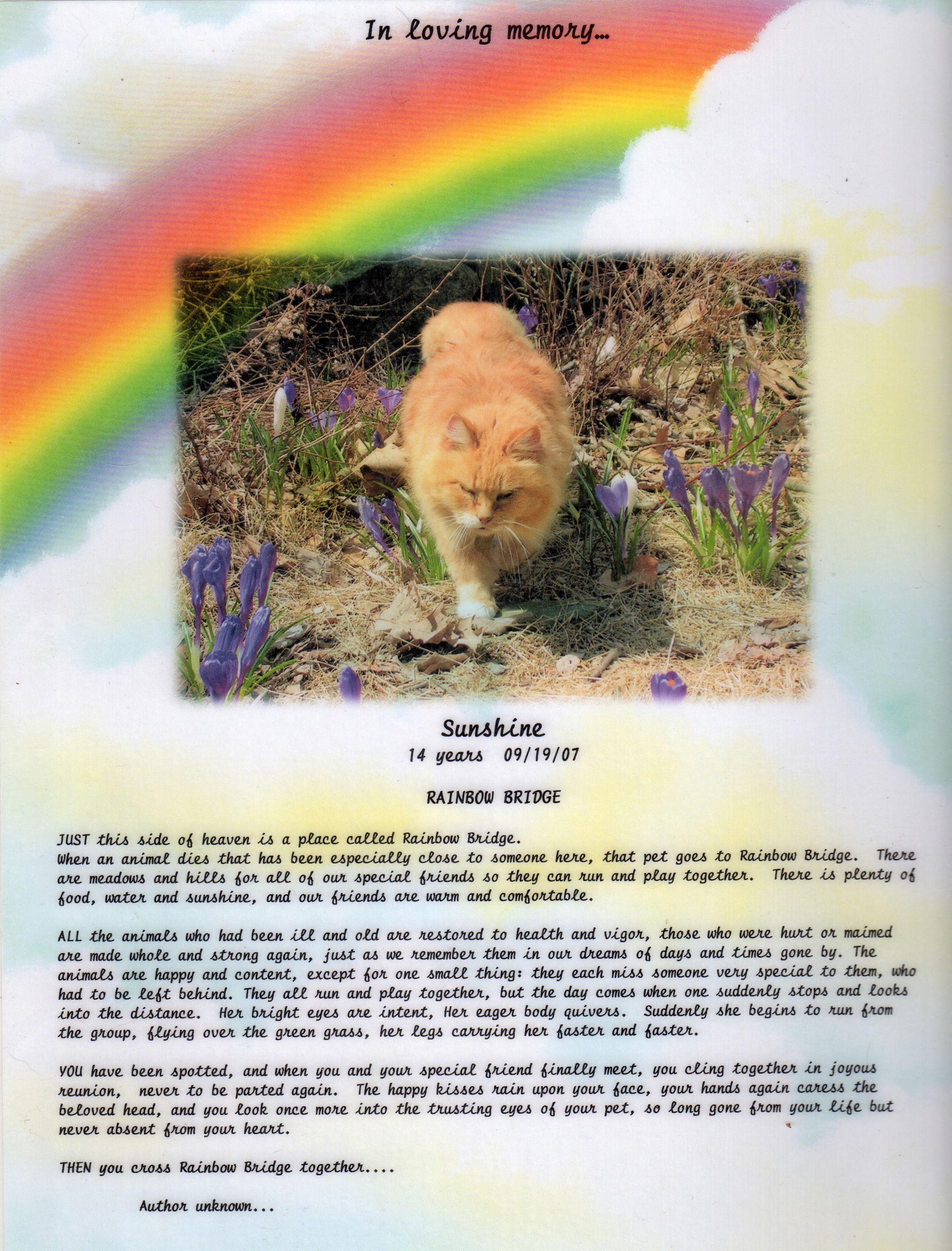 rainbow bridge poem for dogs printable